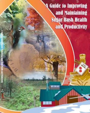 A Guide to Improving & Maintaining Sugar Bush Health & Productivity