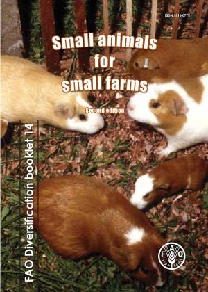 Small Animals for Small Farms