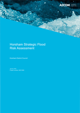 Strategic Flood Risk Assessment Main Report