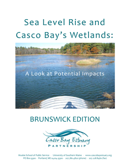 Sea Level Rise and Casco Bay's Wetlands