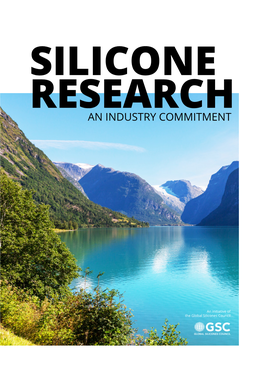 Silicone Research an Industry Commitment