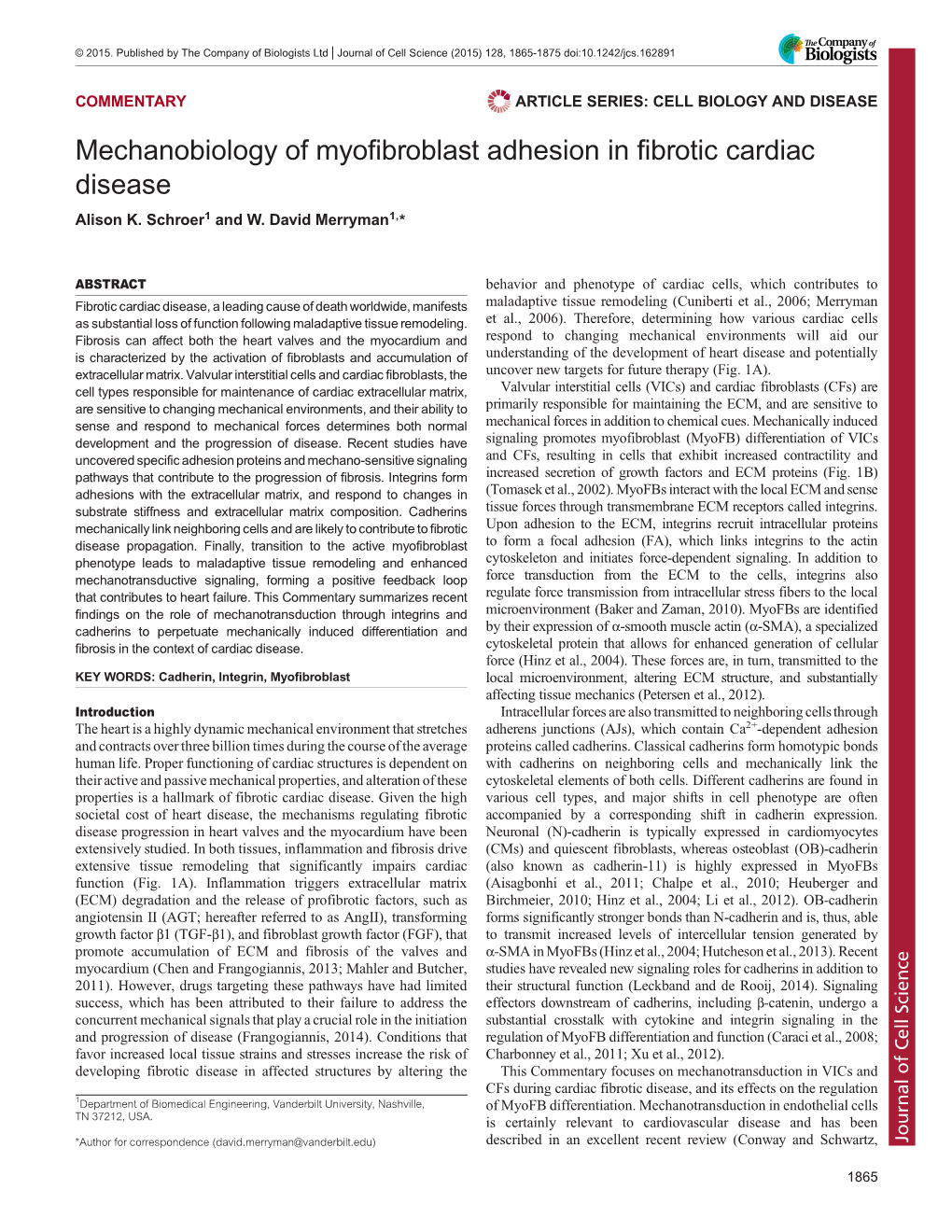 Mechanobiology of Myofibroblast Adhesion in Fibrotic Cardiac Disease Alison K