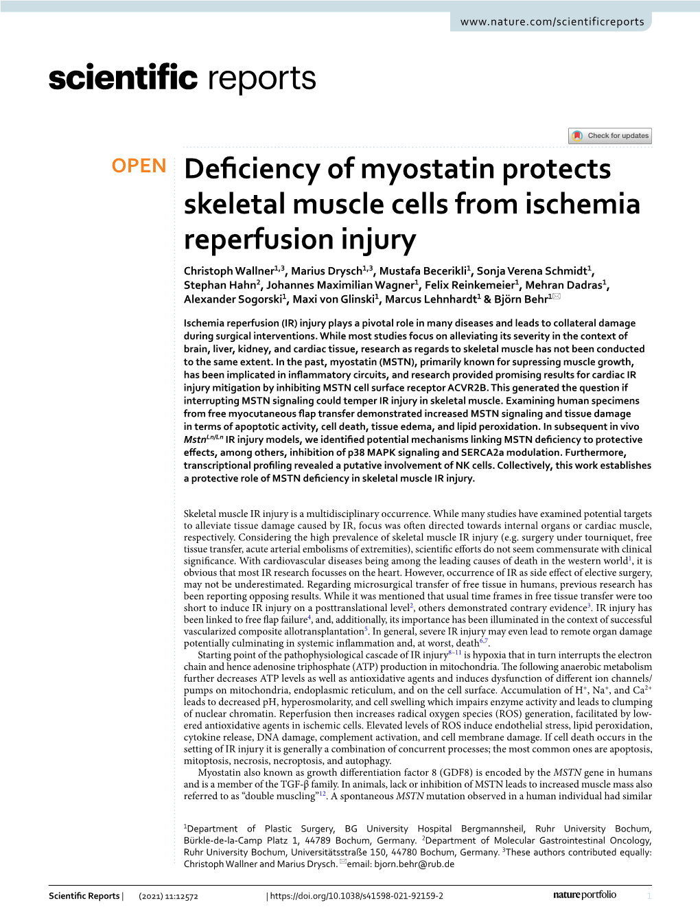 Deficiency of Myostatin Protects Skeletal Muscle Cells from Ischemia