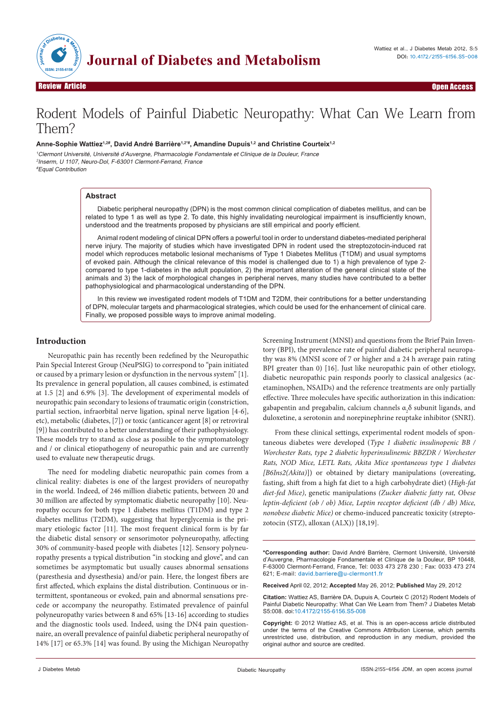 Rodent Models of Painful Diabetic Neuropathy: What Can We Learn