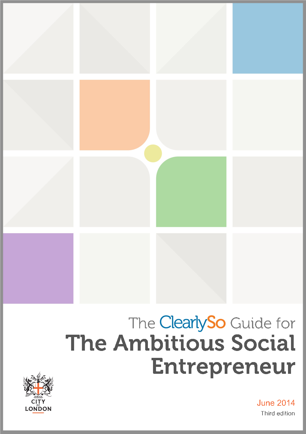 The Ambitious Social Entrepreneur.Pdf