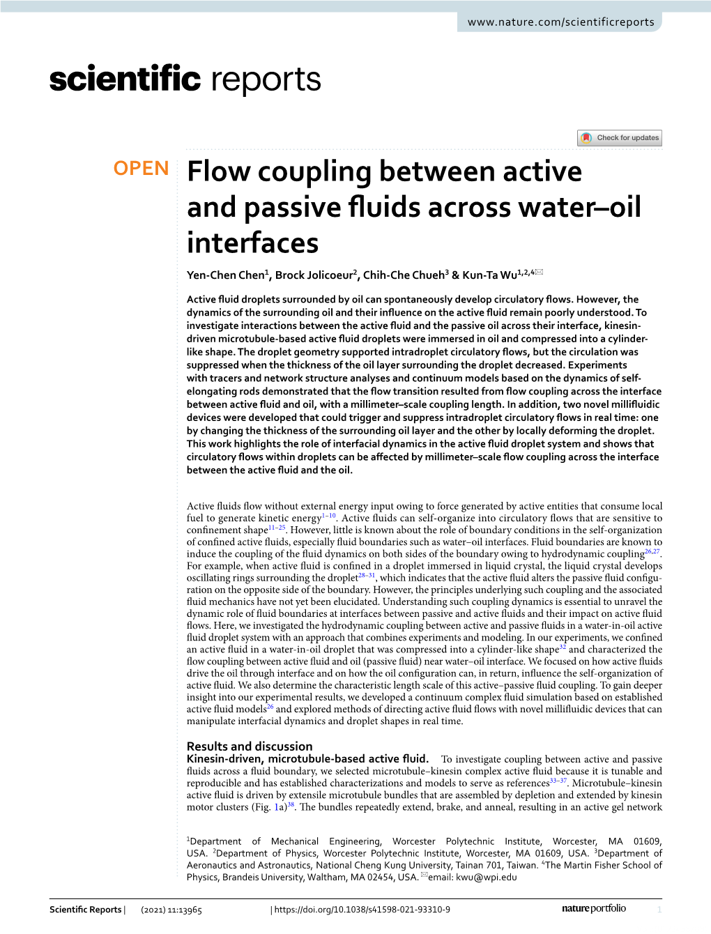 Flow Coupling Between Active and Passive Fluids Across Water–Oil