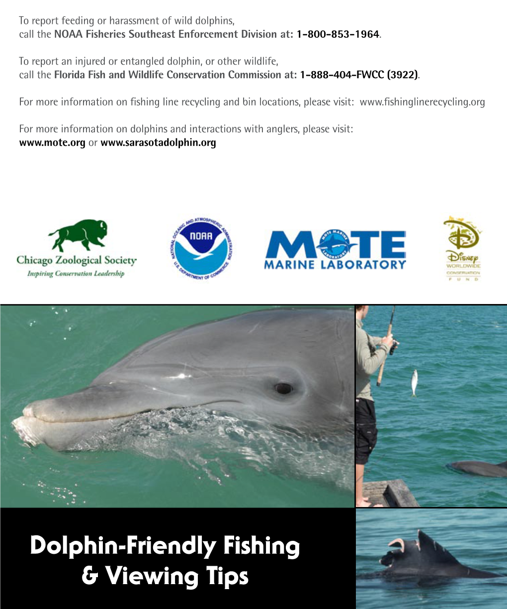 Dolphin-Friendly Fishing and Viewing Tips (PDF)