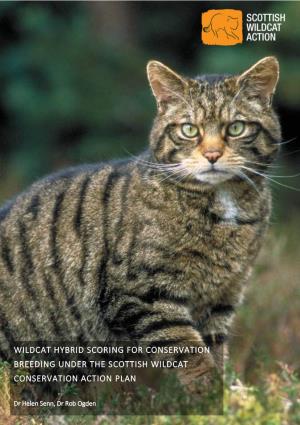Wildcat Hybrid Scoring for Conservation Breeding Under the Scottish Wildcat Conservation Action Plan