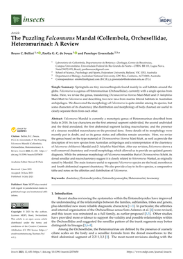 The Puzzling Falcomurus Mandal (Collembola, Orchesellidae, Heteromurinae): a Review