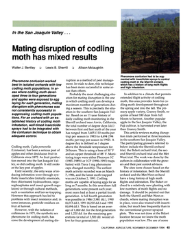 In the San Joaquin Valley, Mating Disruption of Codling Moth Has