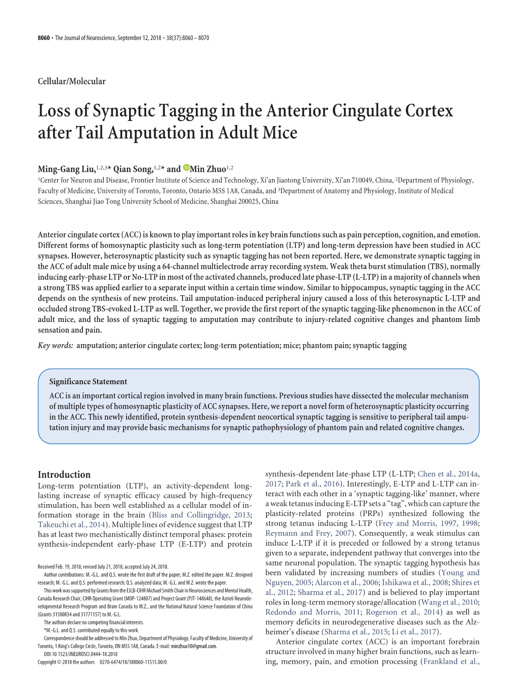 Loss of Synaptic Tagging in the Anterior Cingulate Cortex After Tail Amputation in Adult Mice