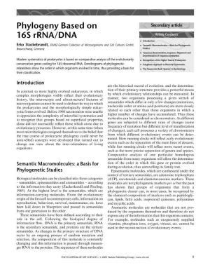 Phylogeny Based on 16S Rrna/DNA
