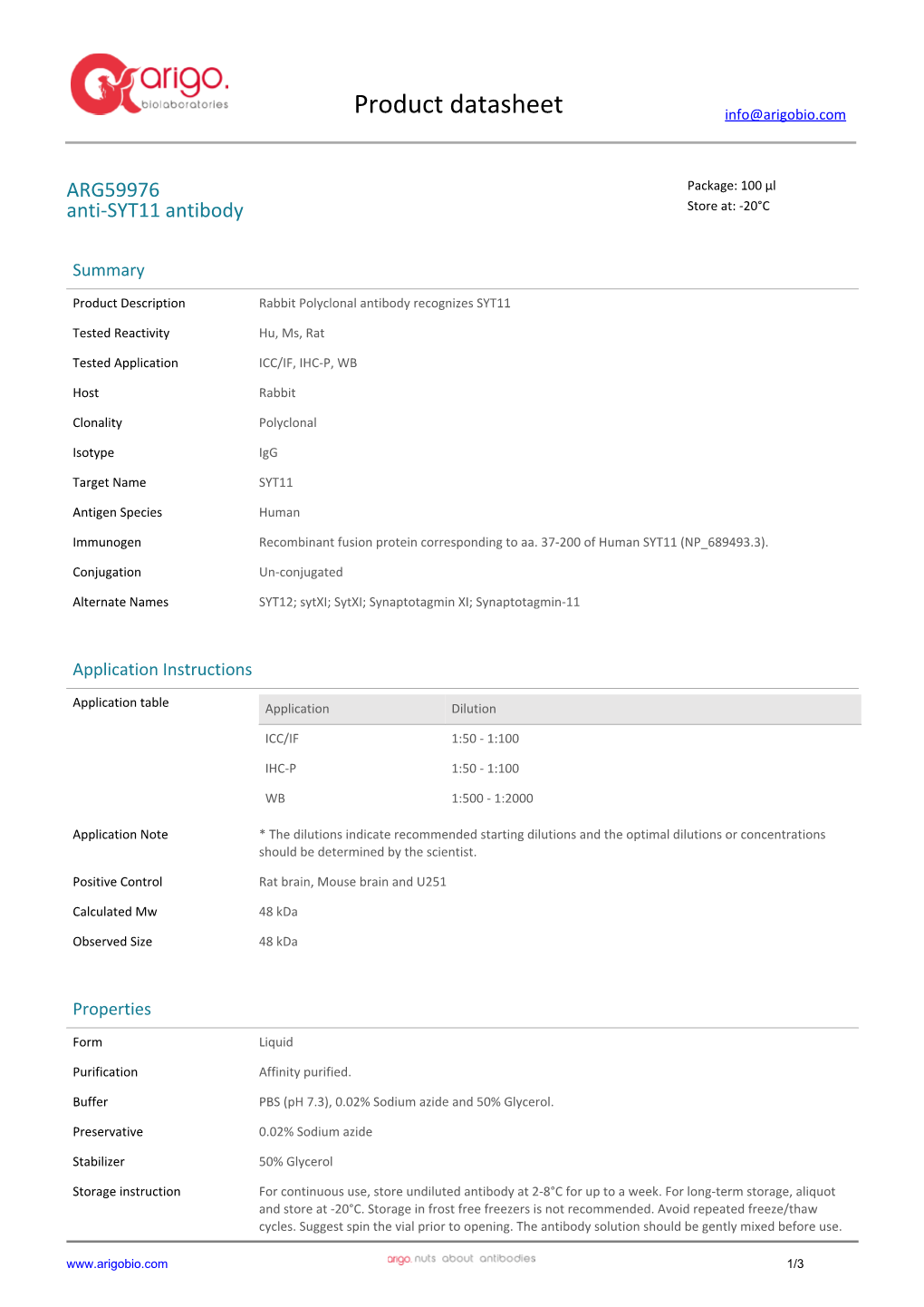 Anti-SYT11 Antibody (ARG59976)