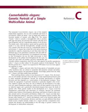 Caenorhabditis Elegans: Genetic Portrait of a Simple Reference C Multicellular Animal