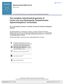 The Complete Mitochondrial Genome of Cerion Uva Uva (Gastropoda: Panpulmonata: Stylommatophora: Cerionidae)