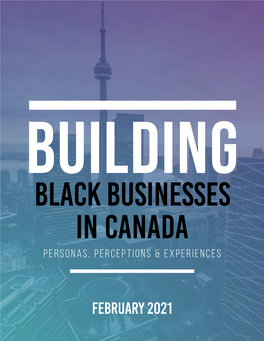Building Black Businesses in Canada Personas, Perceptions & Experiences