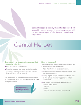 Women's Health: a Guide to Preventing Infections, Genital Herpes