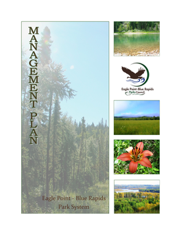 Eagle Point – Blue Rapids Park System