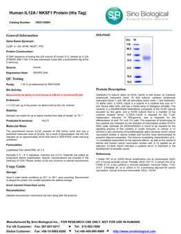 Human IL12A / NKSF1 Protein (His Tag)
