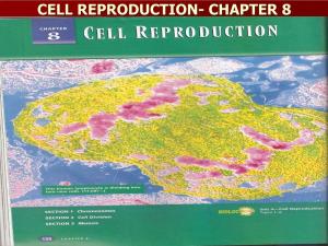 Cell Reproduction- Chapter 8
