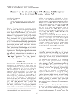 Three New Species of Acanthostigma (Tubeufiaceae, Dothideomycetes) from Great Smoky Mountains National Park