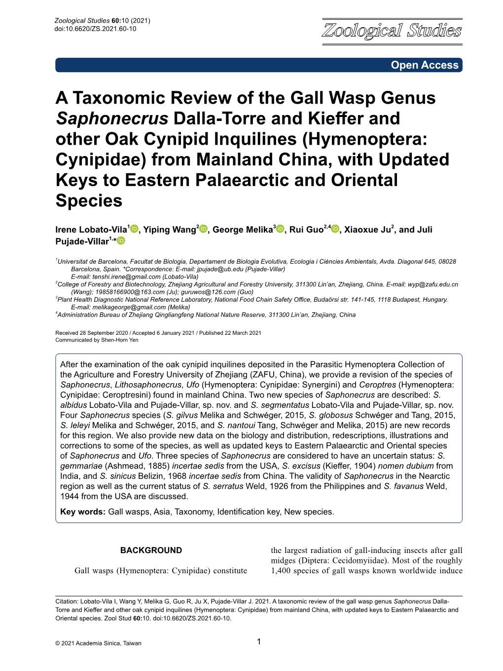 A Taxonomic Review of the Gall Wasp Genus Saphonecrus Dalla-Torre