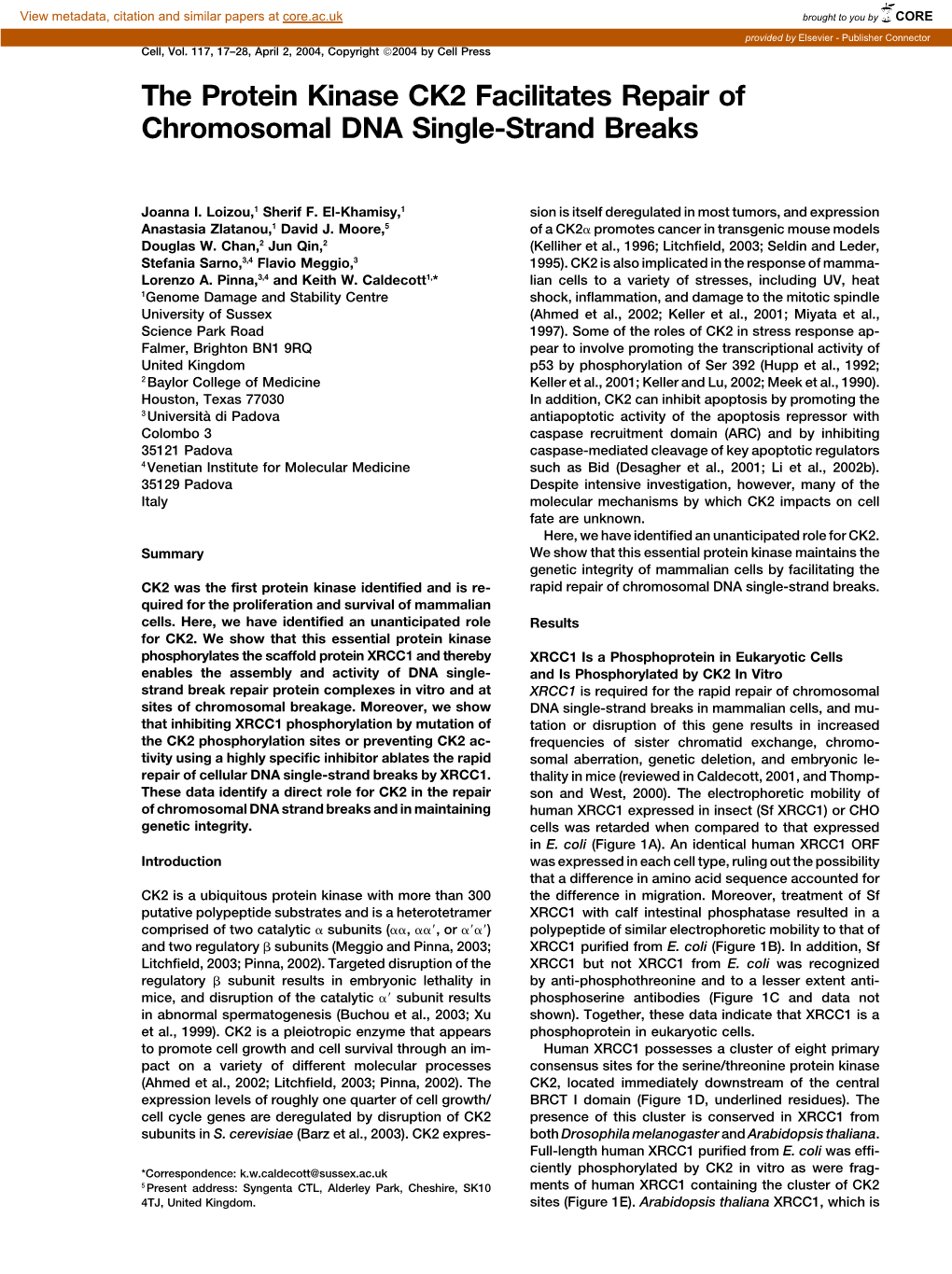 The Protein Kinase CK2 Facilitates Repair of Chromosomal DNA Single-Strand Breaks