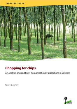 Chopping for Chips an Analysis of Wood Flows from Smallholder Plantations in Vietnam