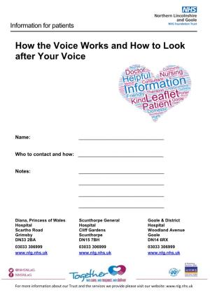 How the Voice Works and How to Look After Your Voice