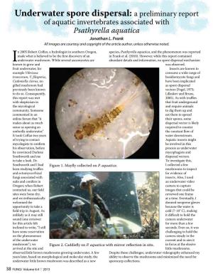 Underwater Spore Dispersal: a Preliminary Report of Aquatic Invertebrates Associated with Psathyrella Aquatica Jonathan L