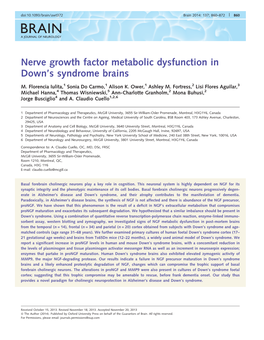 Nerve Growth Factor Metabolic Dysfunction in Down's Syndrome Brains