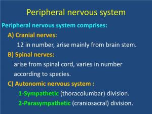 Peripheral Nervous System Peripheral Nervous System Comprises: A) Cranial Nerves: 12 in Number, Arise Mainly from Brain Stem