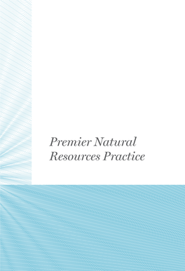 Premier Natural Resources Practice “They Go to Great Lengths to Understand Your Industry, Business and Specific Objectives