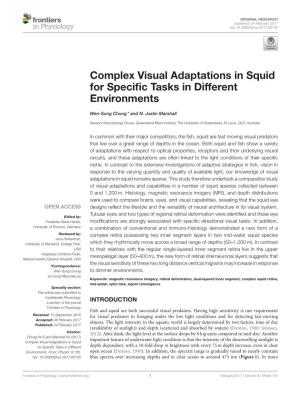 Complex Visual Adaptations in Squid for Specific Tasks in Different