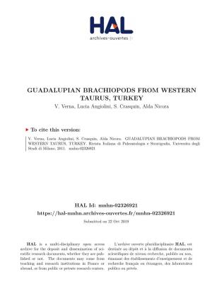 Guadalupian Brachiopods from Western Taurus, Turkey V