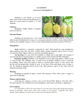 JACK FRUIT (Artocarpus Heterophyllusl.) Jackfruit Is Also