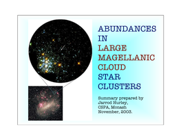 Abundances in Large Magellanic Cloud Star Clusters