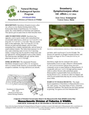 Snowberry & Endangered Species Symphoricarpos Albus Program Var