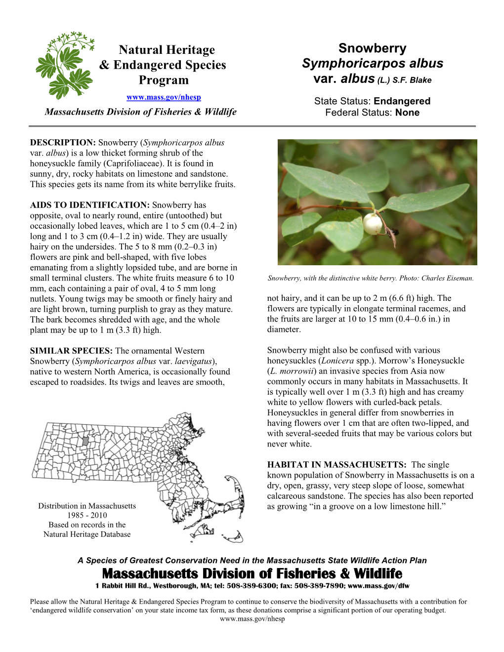 Snowberry & Endangered Species Symphoricarpos Albus Program Var