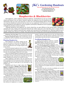 Raspberries & Blackberries J&L's Gardening Handouts