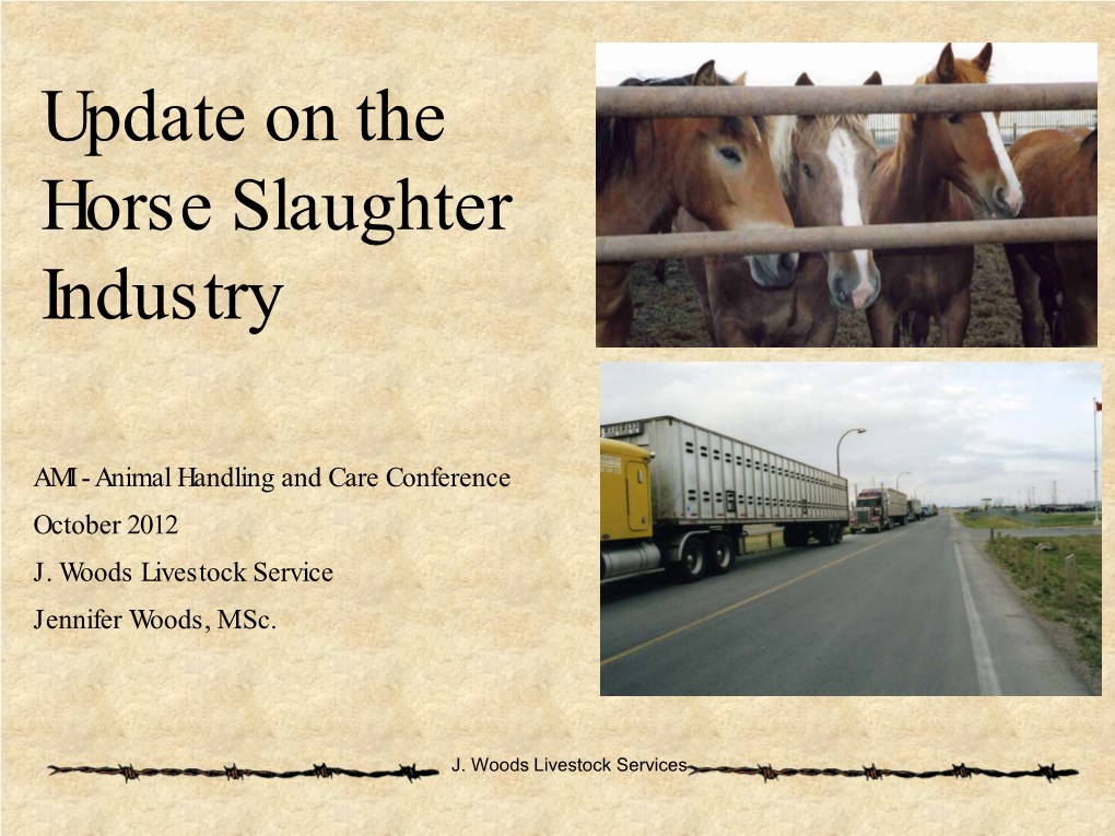Update on the Horse Slaughter Industry