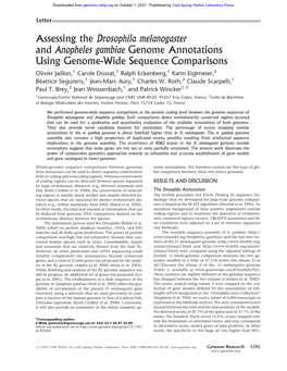 Assessing the Drosophila Melanogaster and Anopheles Gambiae Genome Annotations Using Genome-Wide Sequence Comparisons