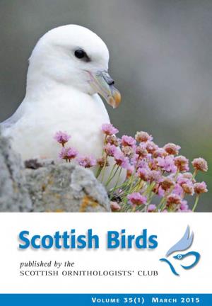 Scottish Birds 35:1 (2015)