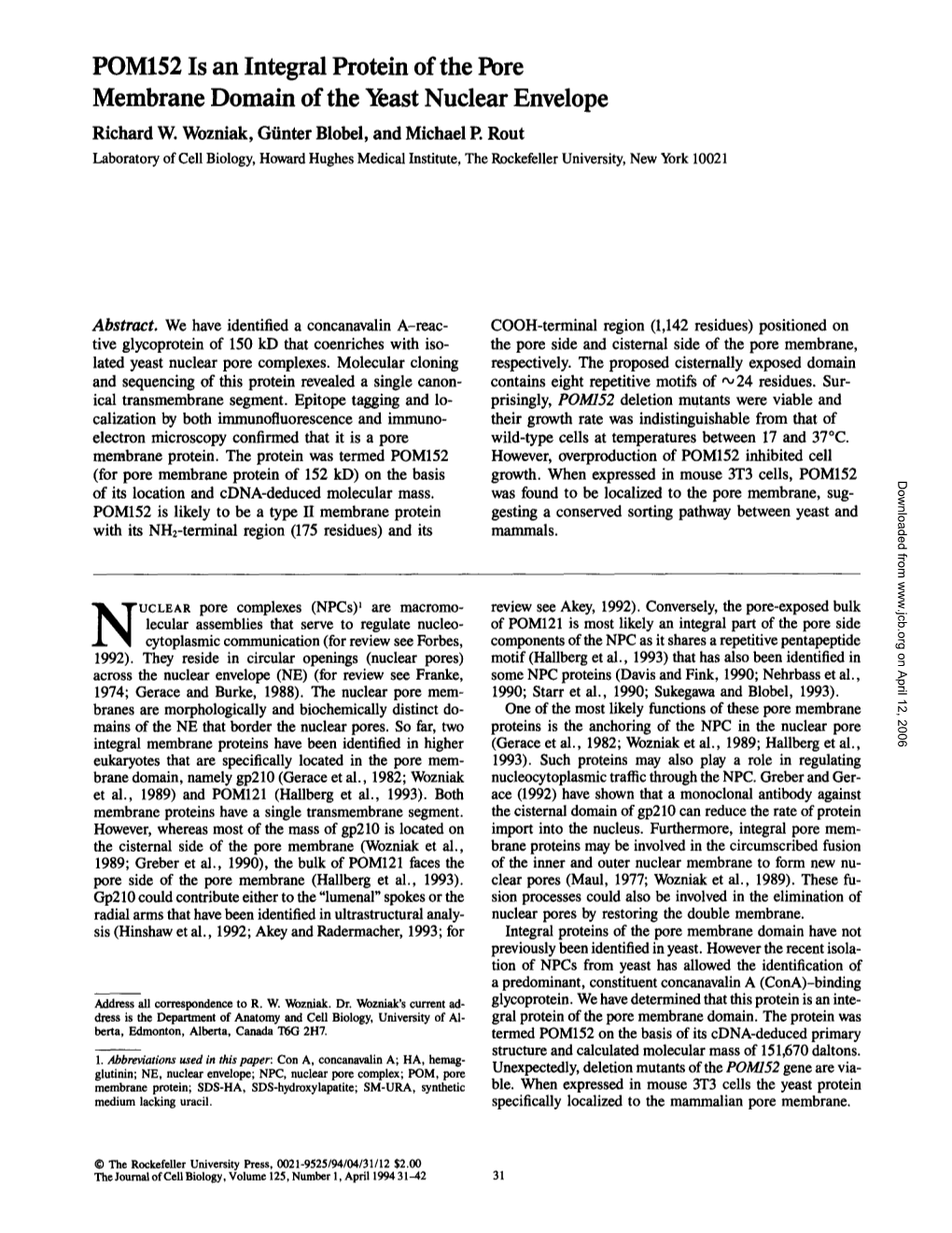 POM152 Is an Integral Protein of the Pore Membrane Domain of the Yeast Nuclear Envelope