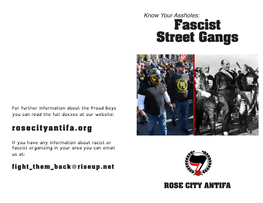 Fascist Street Gangs