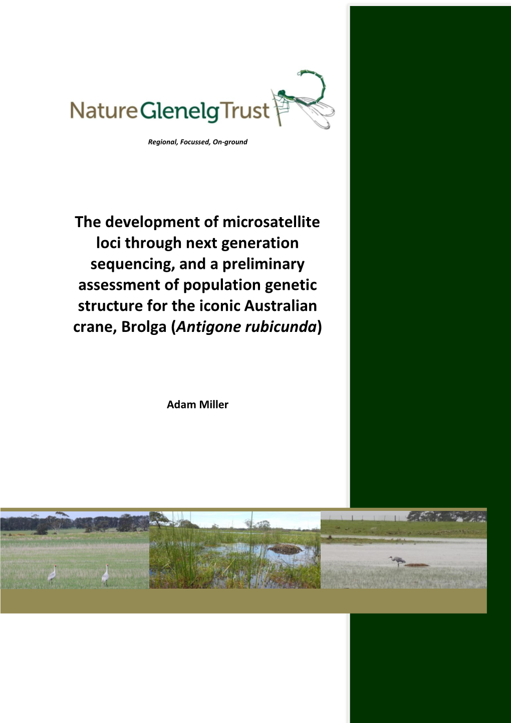 NGT Preliminary Assessment of Brolga Genetics