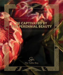 Be Captivated by the Perennial Beauty Where Dreams Come Alive