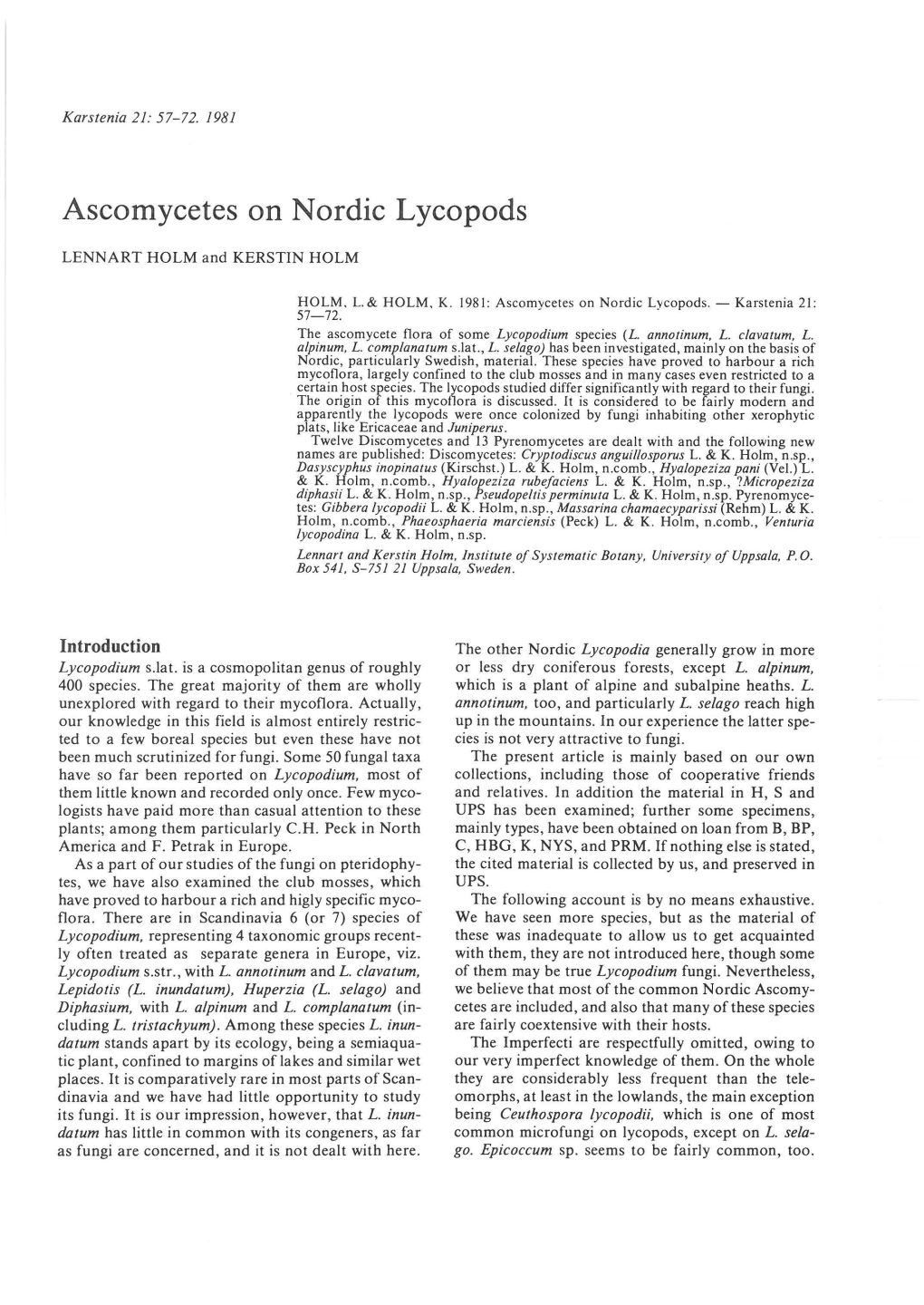 Ascomycetes on Nordic Lycopods