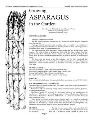 Growing Asparagus in the Garden Growing ASPARAGUS in the Garden