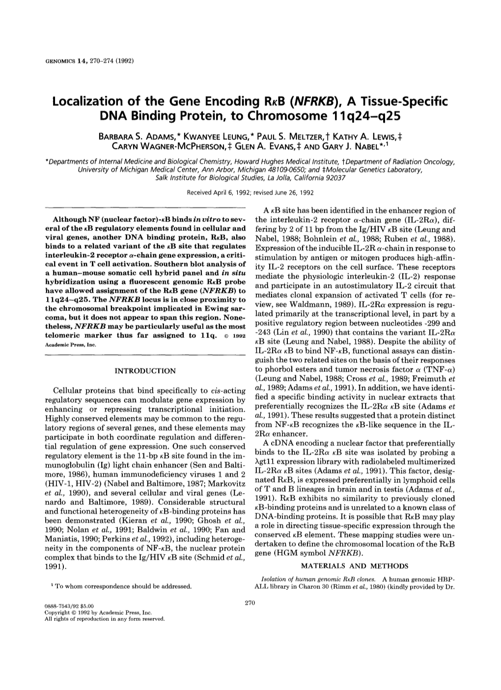 A Tissue-Specific DNA Binding Protein, to Chromosome 11Q24-Q25